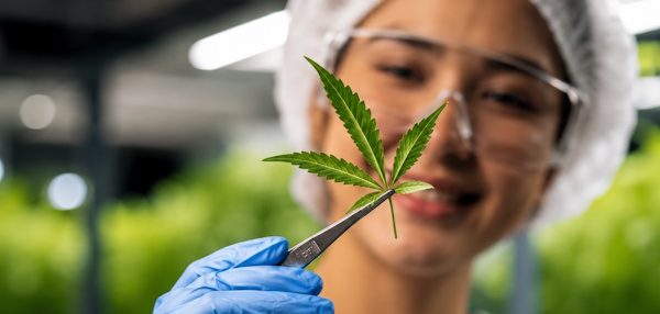Growers - Cannexus