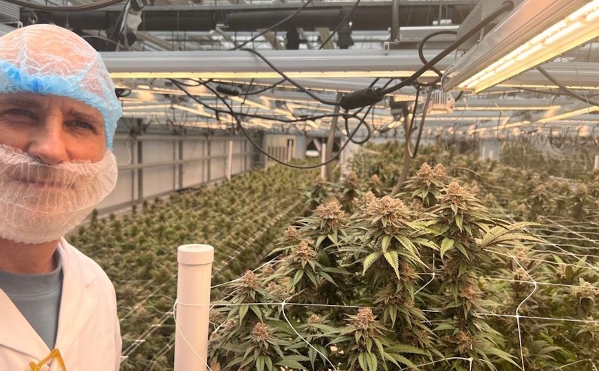 Licensed GMP facility - Cannexus