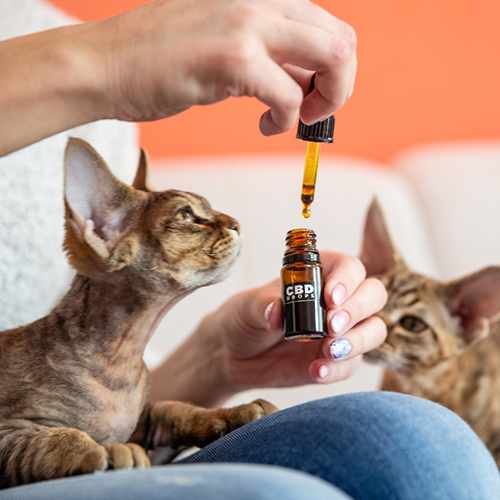 Pet-Products Pet-Products